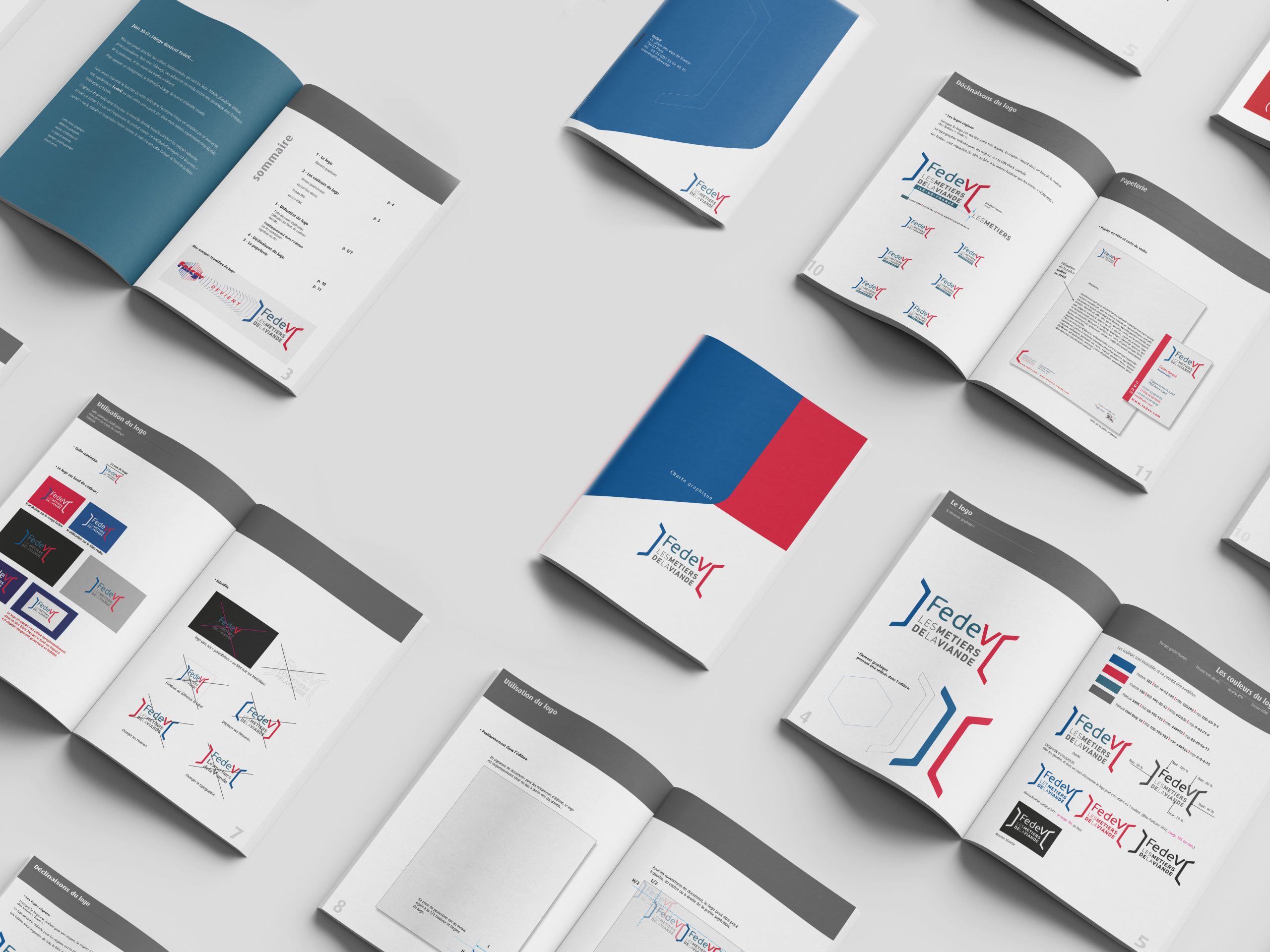 Charte graphique Fedev